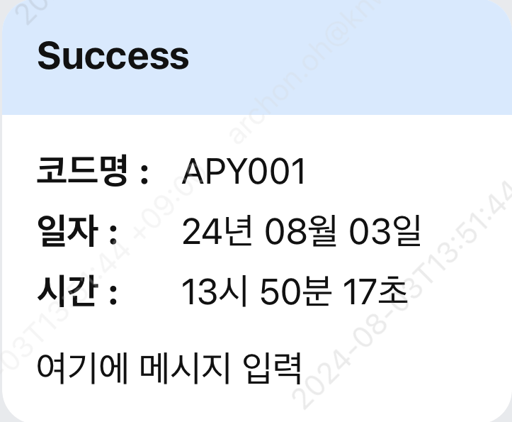 Success 결과