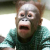 Avatar for tinkermonkey from gravatar.com
