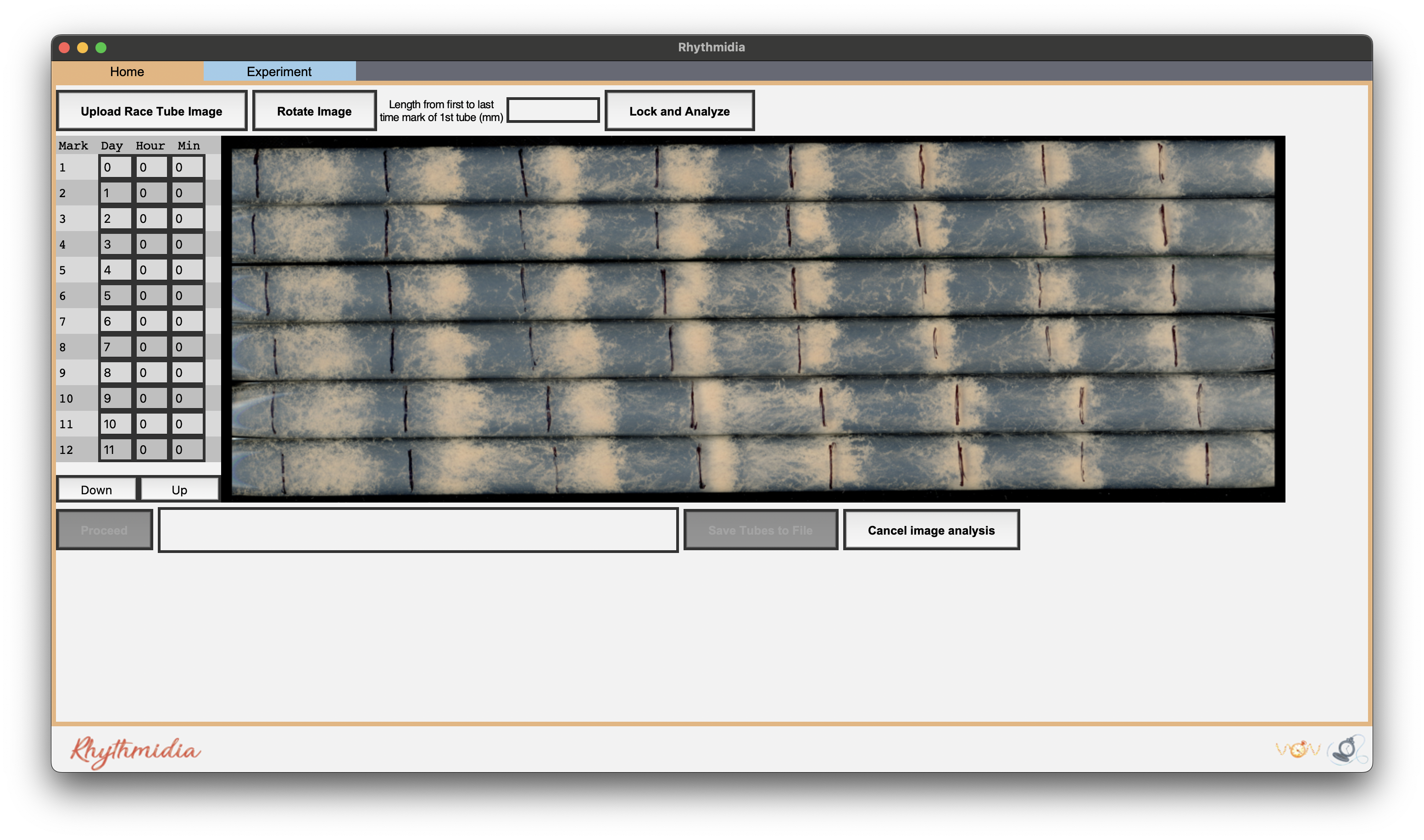 Image Analysis