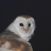 Avatar for ttd3v from gravatar.com