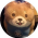 Avatar for abap34 from gravatar.com