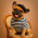 Avatar for brabus from gravatar.com