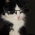 Avatar for scooter-sensei from gravatar.com