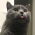 Avatar for rcyw from gravatar.com