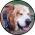 Avatar for RonenNess from gravatar.com