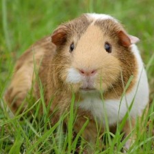 Avatar for Philip from gravatar.com