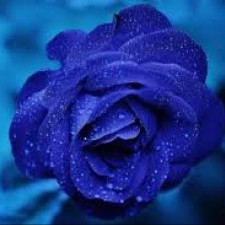 Avatar for Ed Crewe from gravatar.com