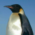 Avatar for elm-junction from gravatar.com