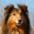 Avatar for taojiachun from gravatar.com