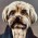 Avatar for mkleehammer from gravatar.com