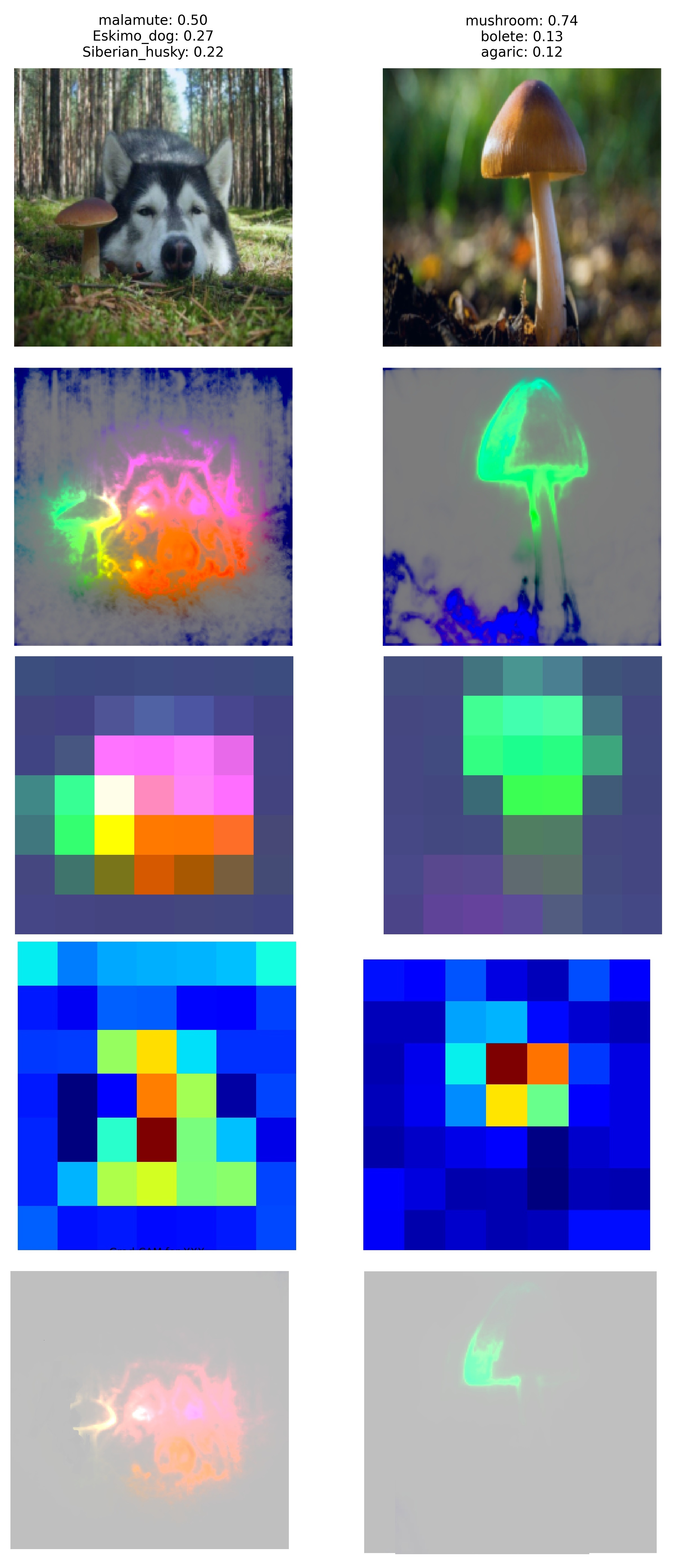 Saliency map combination with PRISM