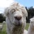 Avatar for zimbatm from gravatar.com