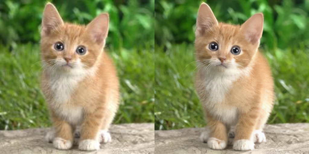 upscaled cat