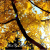Avatar for lauyon from gravatar.com