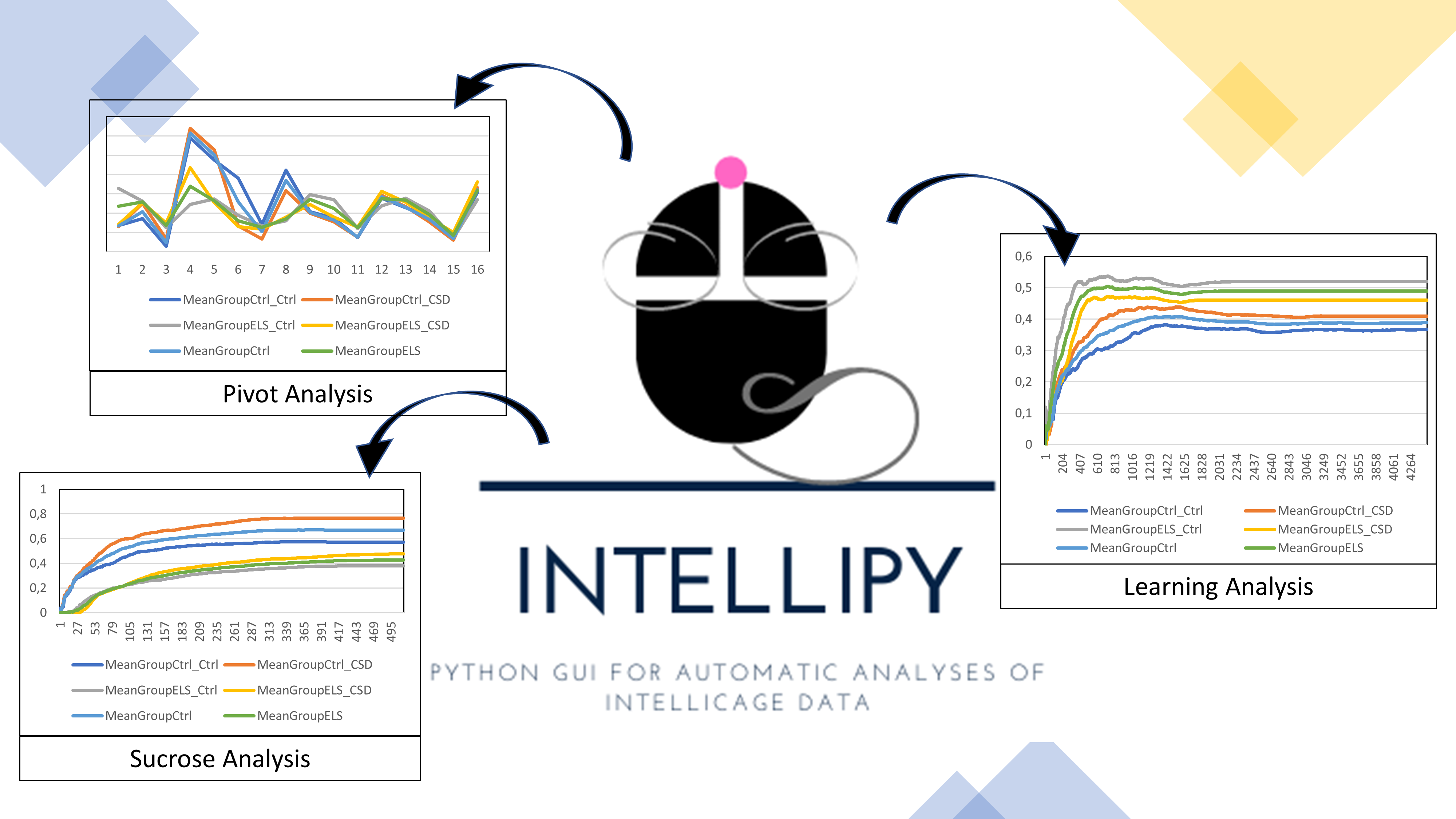 Analyses Overview