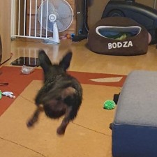 Avatar for Patrik Laszlo from gravatar.com