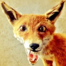 Avatar for Fredrik Noren from gravatar.com