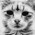 Avatar for Hjklvfr_RUS from gravatar.com