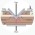 Avatar for strulock from gravatar.com