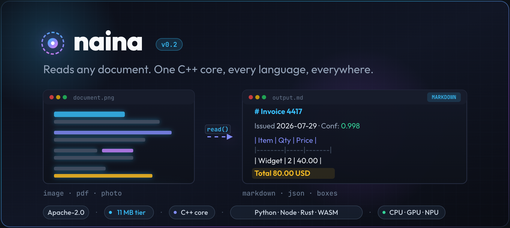 naina — reads any document, one C++ core, every language