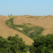 Avatar for Danilo Lessa Bernardineli from gravatar.com