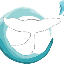 Avatar for kujirahand from gravatar.com