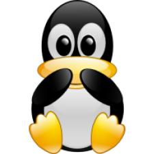 Avatar for Robert-André Mauchin from gravatar.com