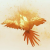 Avatar for Pollo3470 from gravatar.com