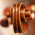 Avatar for endario from gravatar.com
