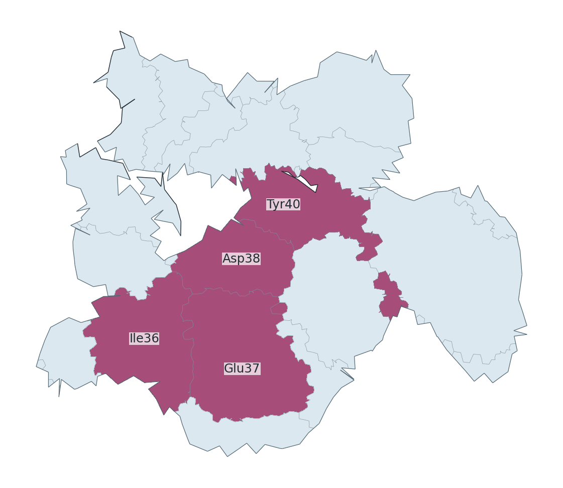 Flat interface atlas with four highlighted residue regions
