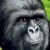 Avatar for AdamKempenich from gravatar.com