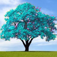 Avatar for WyattBlue from gravatar.com