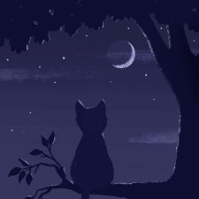 Avatar for H S Jayanth from gravatar.com