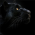 Avatar for RapidDNS from gravatar.com