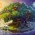 Avatar for ycomb from gravatar.com