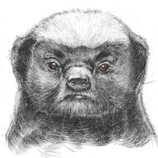 Avatar for stephenshenying from gravatar.com