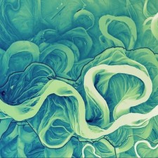 Avatar for Jeremy Castagno from gravatar.com