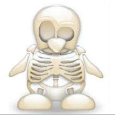 Avatar for RootKit from gravatar.com