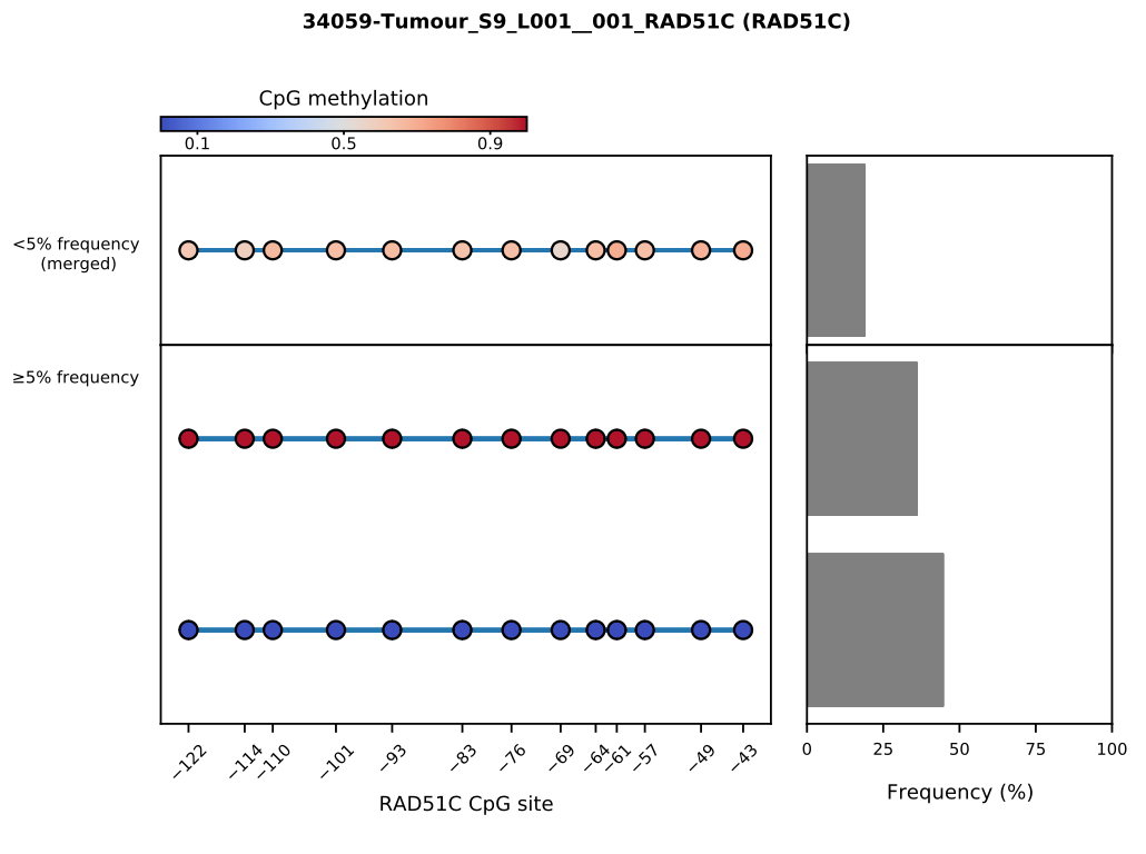 34059-Tumour_S9_L001__001_RAD51C (RAD51C)_5perc_barplot