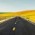 Avatar for obobob32 from gravatar.com