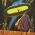 Avatar for starpit from gravatar.com