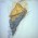 Avatar for EatingPie from gravatar.com