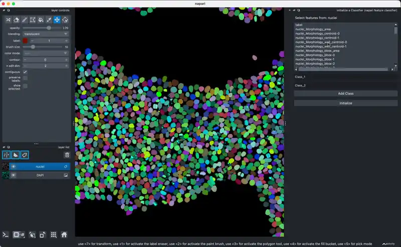 napari-feature-classifier