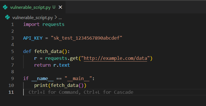 vulnerable_script_py
