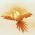 Avatar for Pollo3470 from gravatar.com