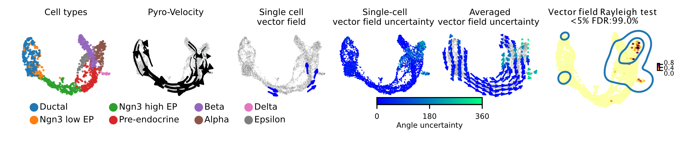 Pancreas vector field uncertainty
