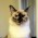 Avatar for nmih from gravatar.com