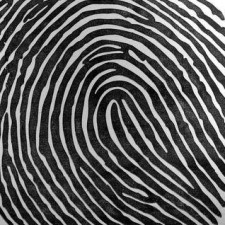 Avatar for naranor from gravatar.com