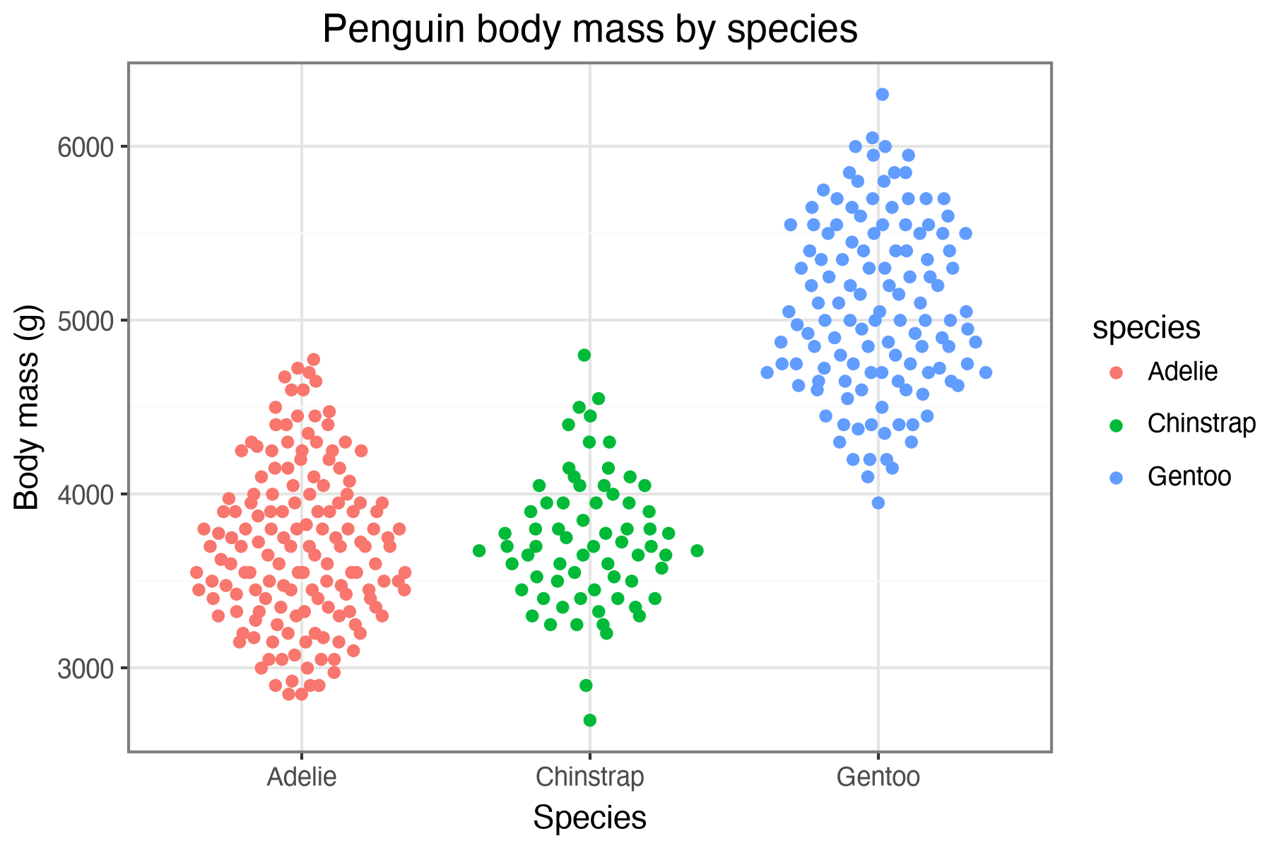Penguin body mass beeswarm plot by p9beeswarm