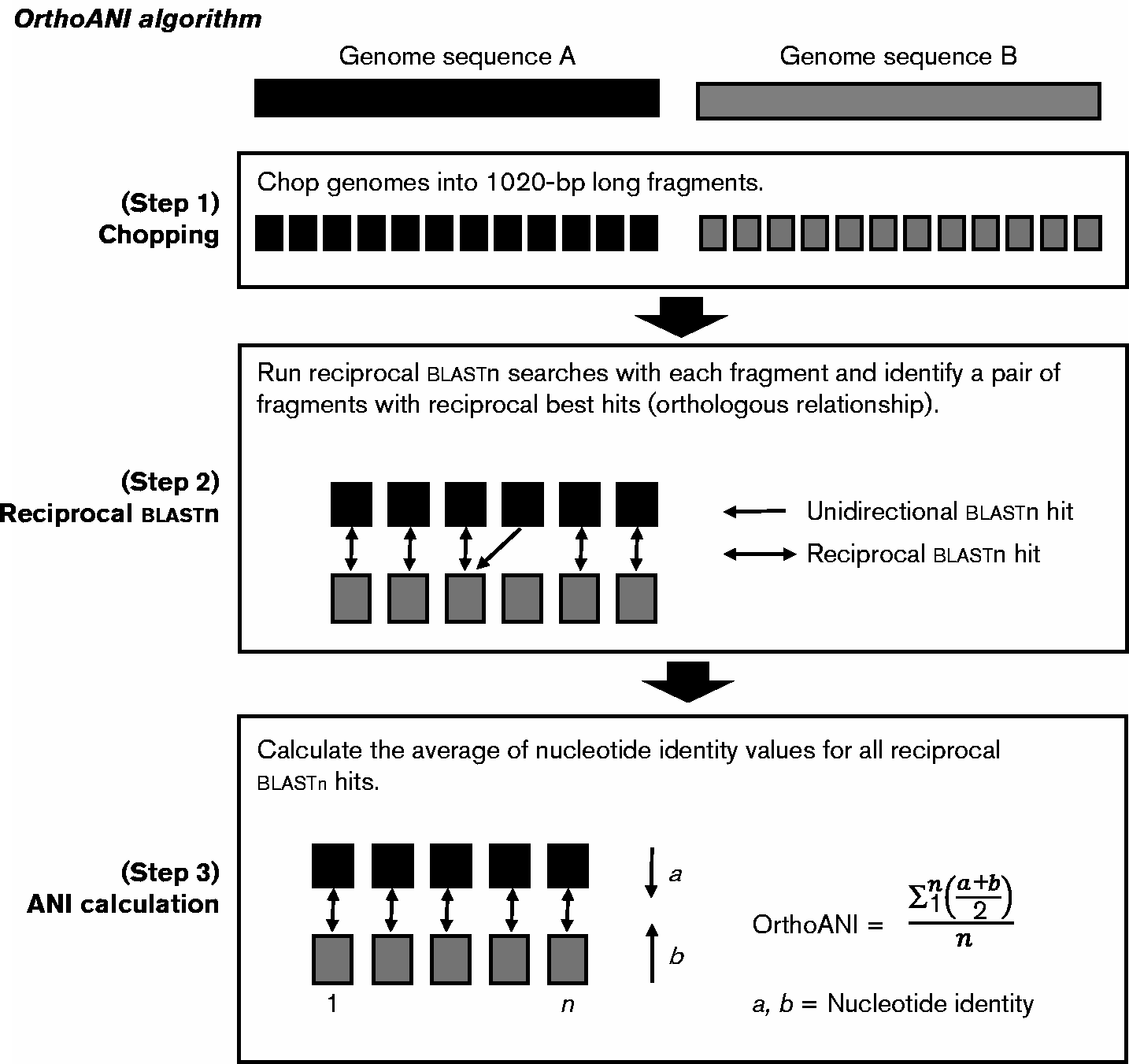 Algorithm